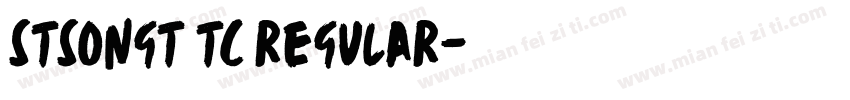 stsongt tc regular字体转换